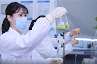 巾幗不讓須眉，她們獲省級巾幗文明崗榮譽(yù)
